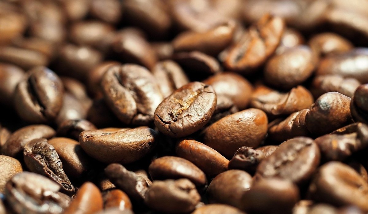 Brewing Stout with Roasted Barley and Oats